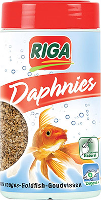 Daphnies Riga