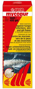 Sera Mycopur contre les mycoses (p.ex.Saprolegnia) et les moisissures des poissons d'aquarium