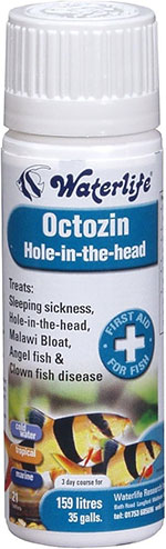 Waterlife Octozin traitement contre la maladie des trous